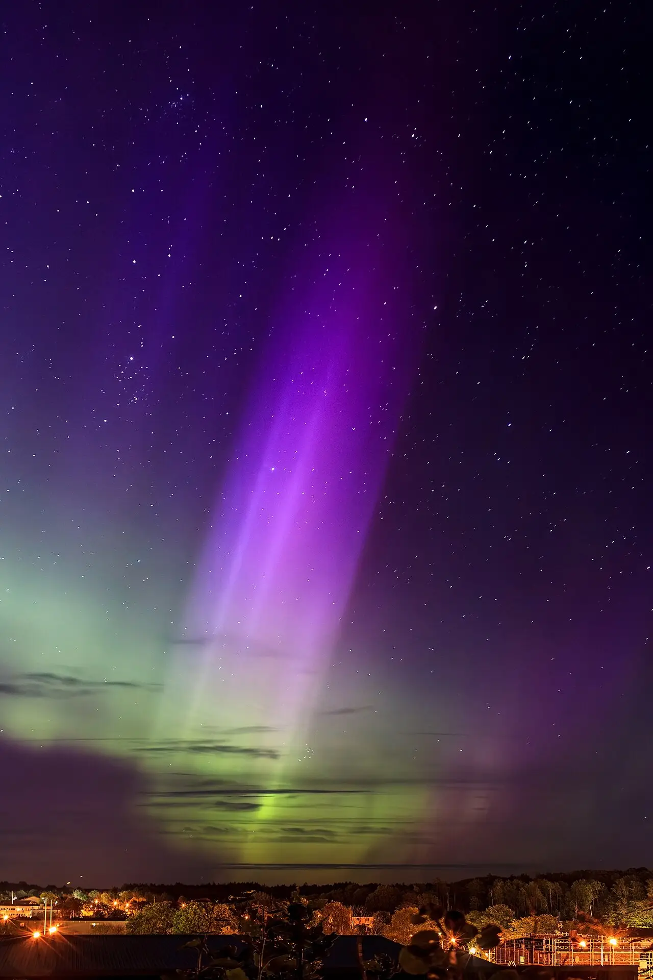 Photograph: aurora borealis over a forest, at night