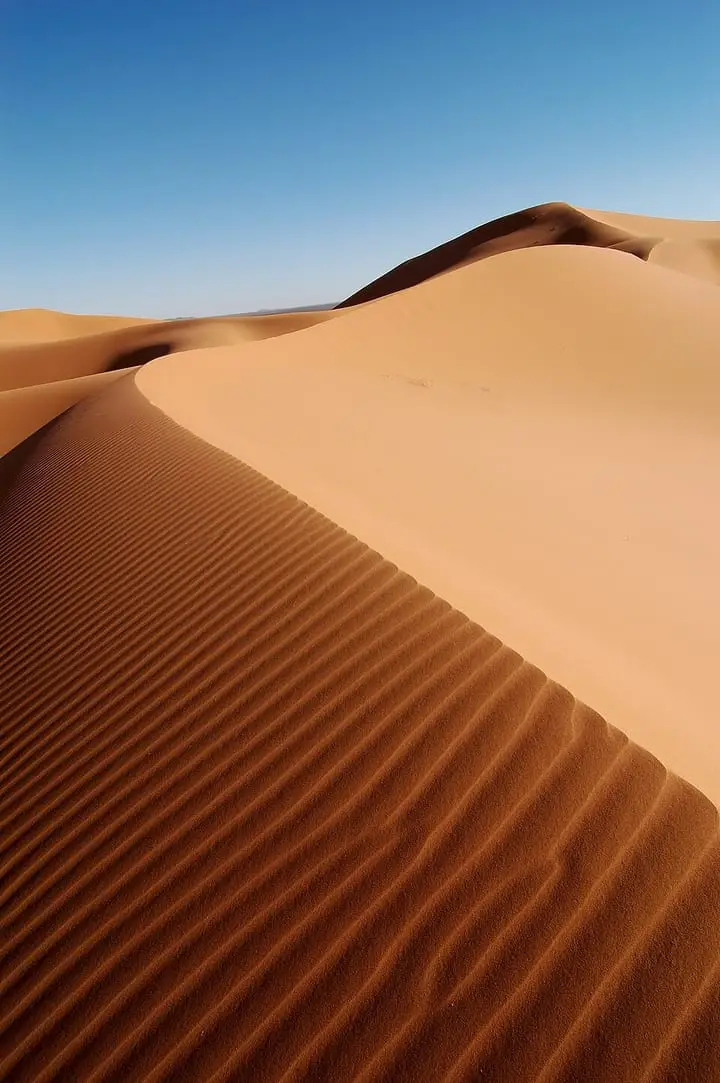 Photograph: sand dunes, empty desert