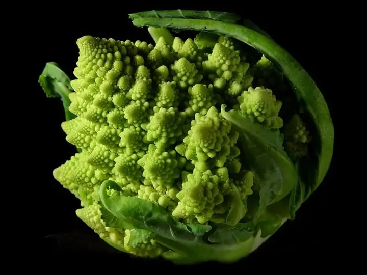 Photograph: romanesco broccoli close-up